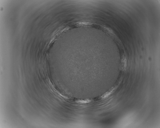 X0000054370765200508011220