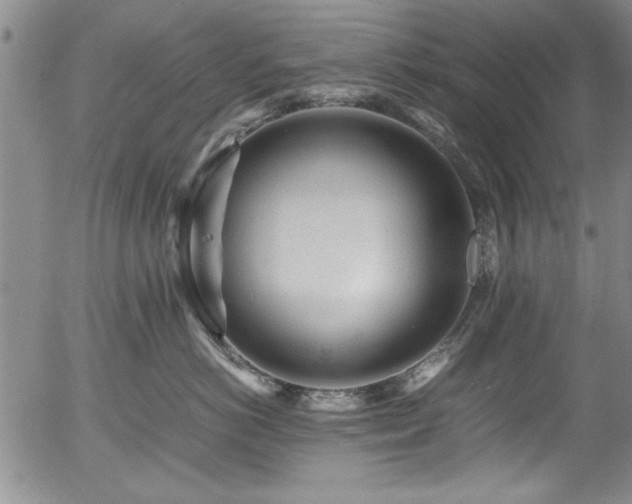 X0000054370766200508011220