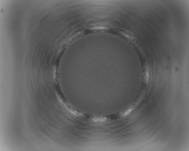 X0000054370767200508011220