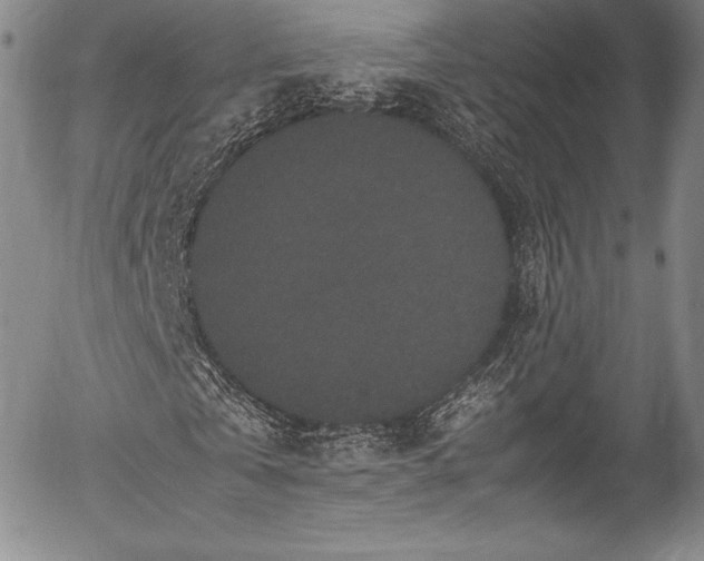 X0000054370769200508011219