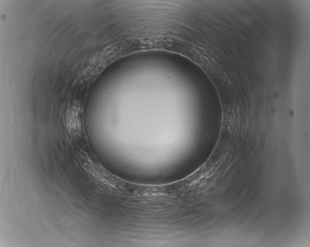 X0000054370770200508011219