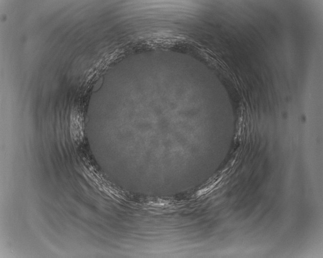 X0000054370772200508011219