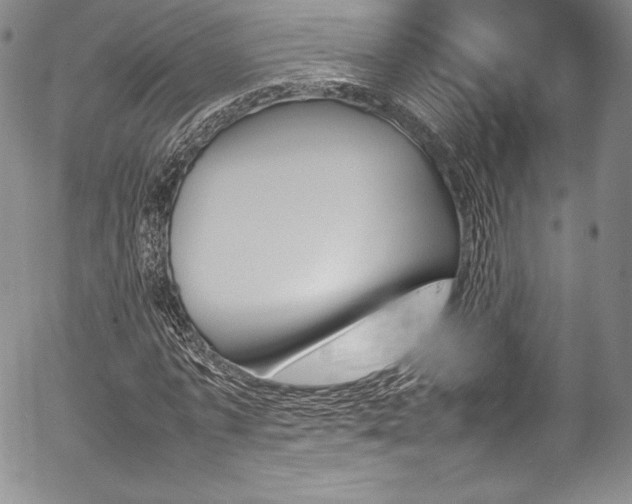 X0000054370773200508011219