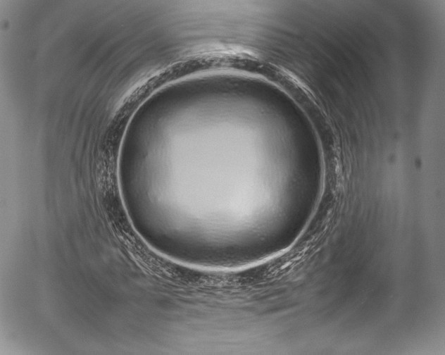 X0000054370775200508011219