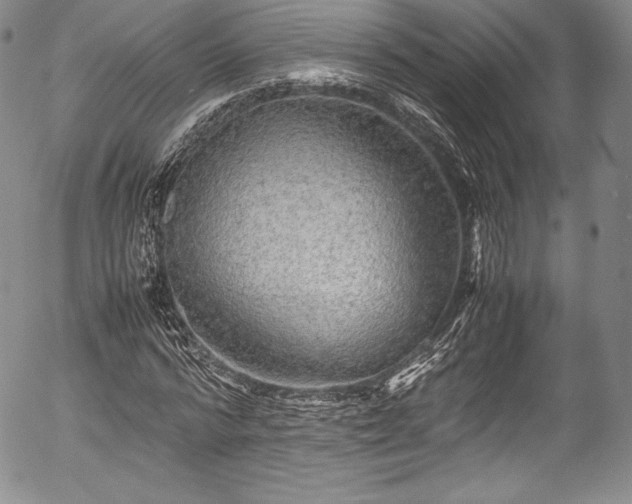 X0000054370776200508011219