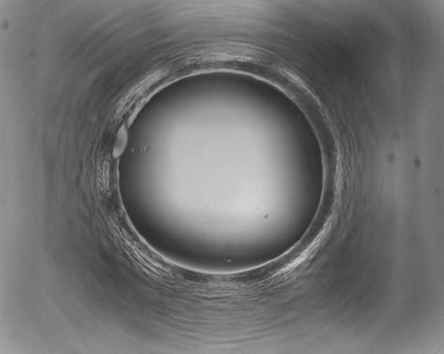 X0000054370777200508011219