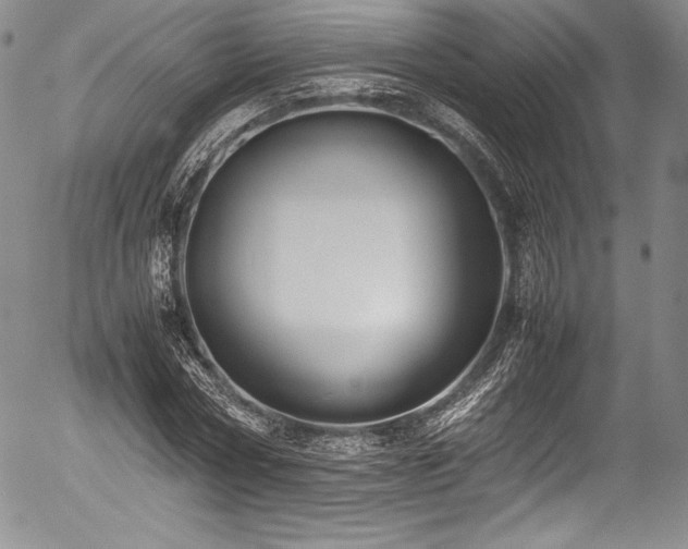 X0000054370778200508011219