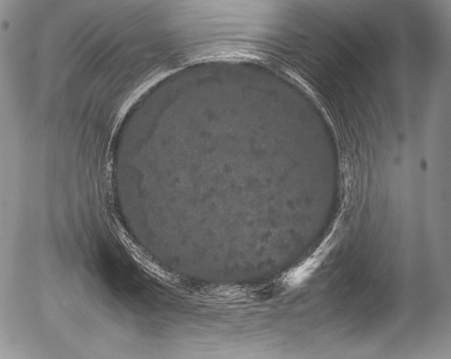 X0000054370779200508011219