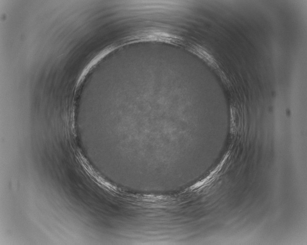 X0000054370780200508011219