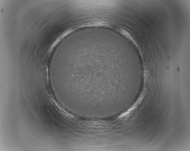 X0000054370781200508011219