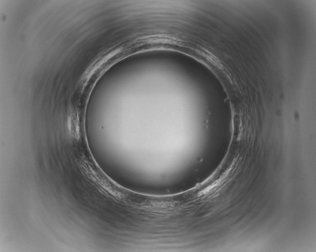 X0000054370782200508011219