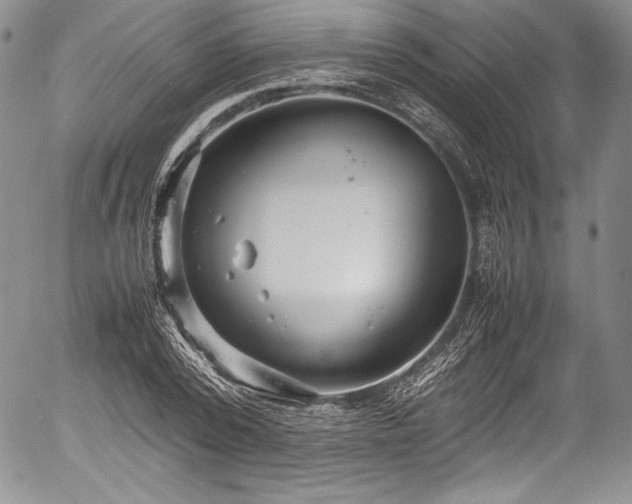 X0000054370784200508011219