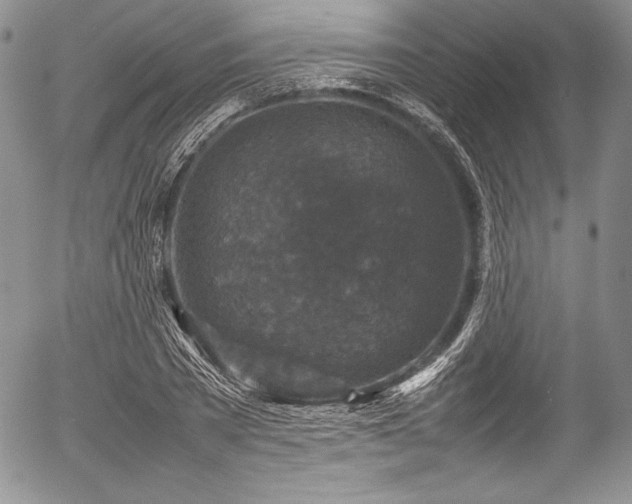 X0000054370785200508011219