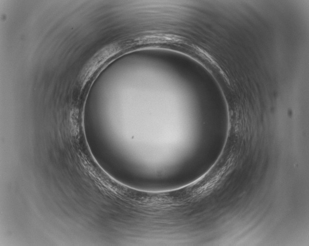 X0000054370786200508011219