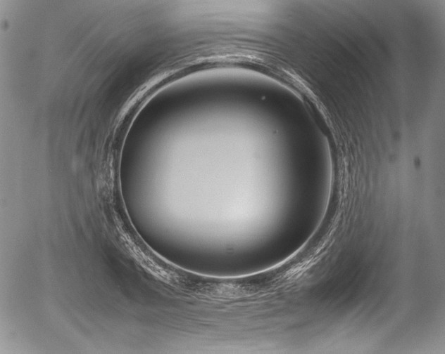 X0000054370787200508011219