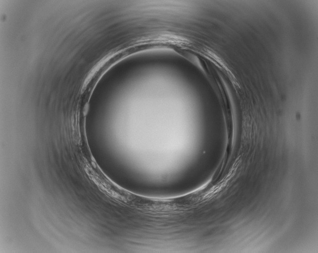 X0000054370788200508011219