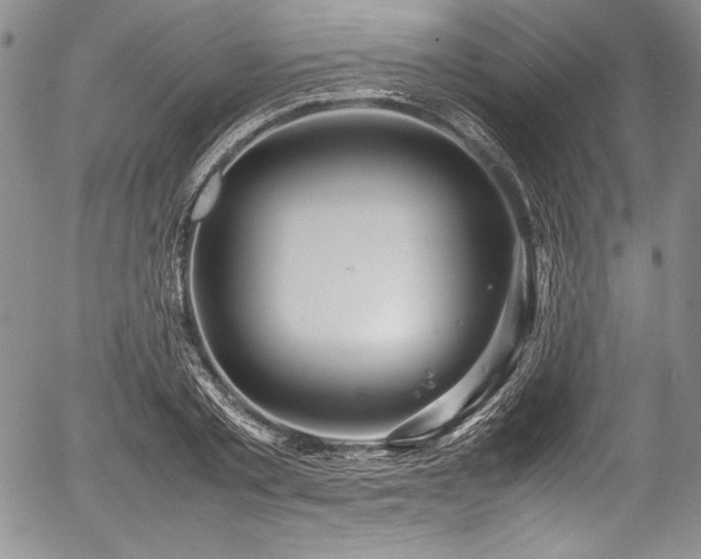 X0000054370789200508011219