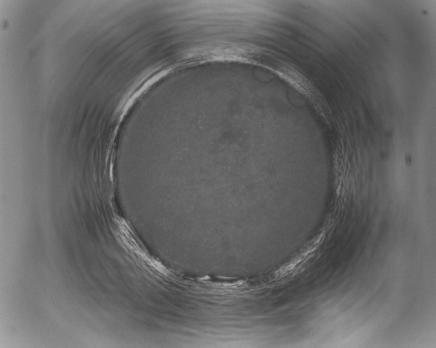 X0000054370790200508011219