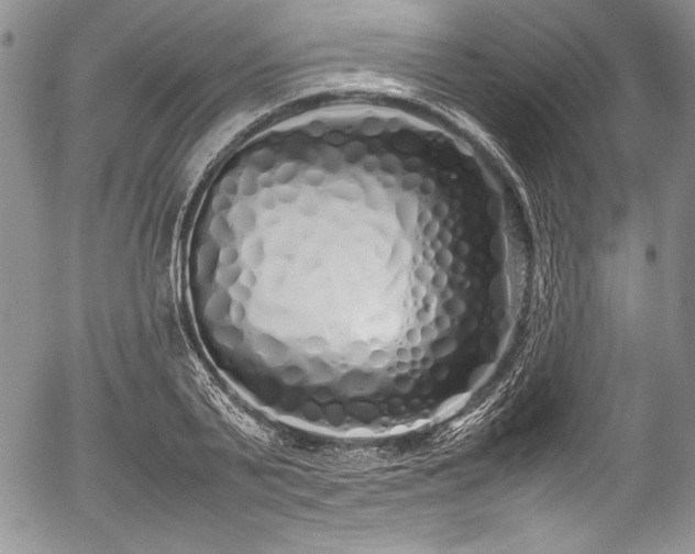 X0000054370791200508011219