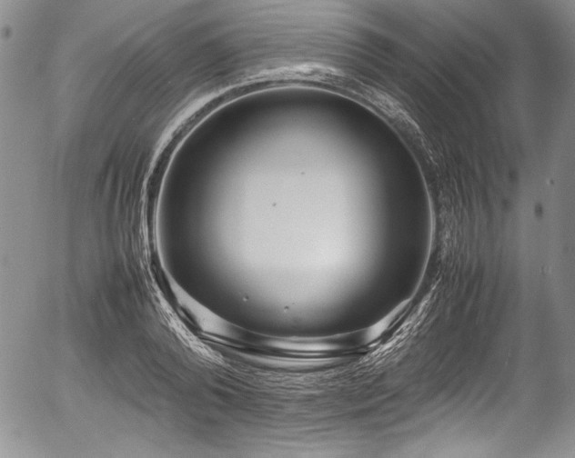 X0000054370792200508011219