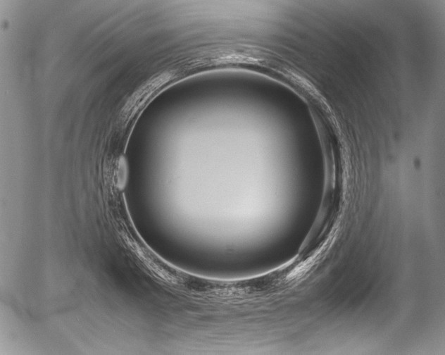 X0000054370793200508011219