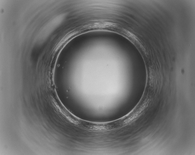 X0000054370794200508011219