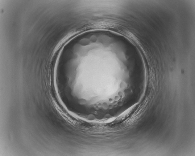 X0000054370795200508011219