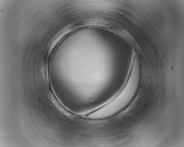 X0000054370796200508011219