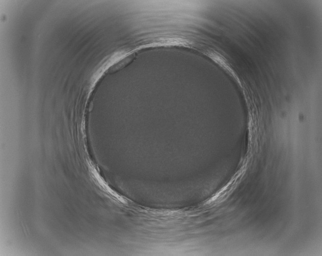 X0000054370797200508011219