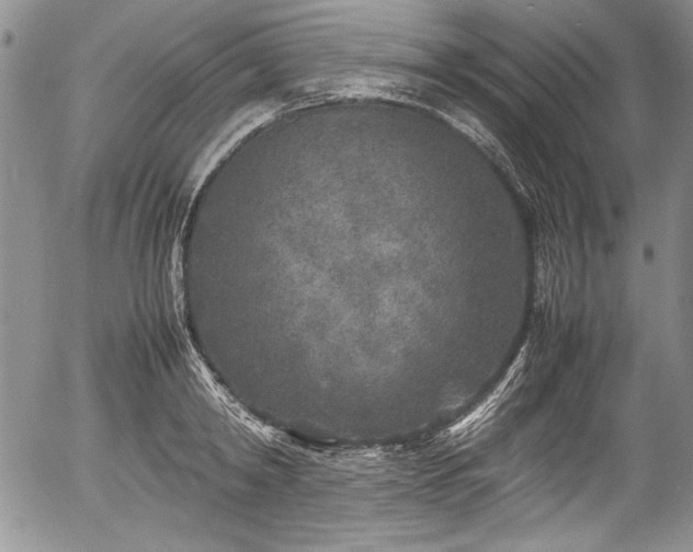 X0000054370798200508011219