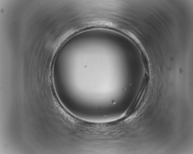 X0000054370799200508011219