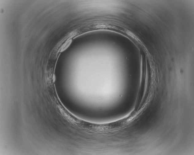 X0000054370801200508011219