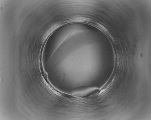 X0000054370802200508011219