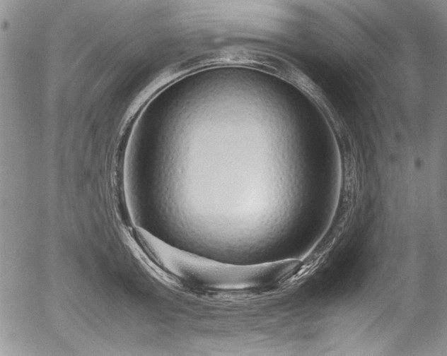 X0000054370803200508011219