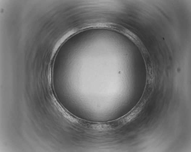 X0000054370804200508011219