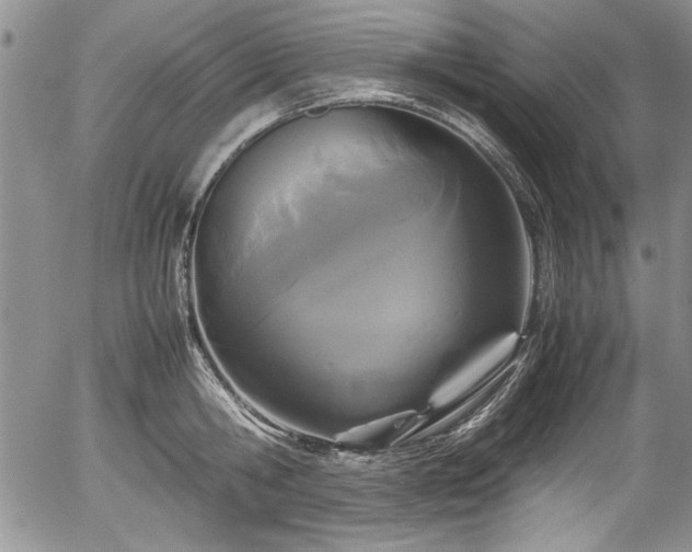 X0000054370806200508011219