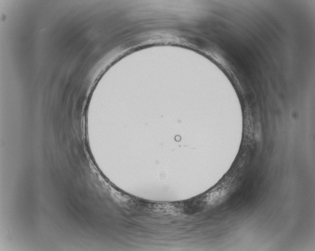 X0000054370807200508011219