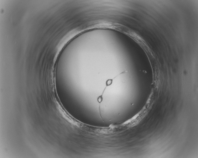 X0000054370808200508011219