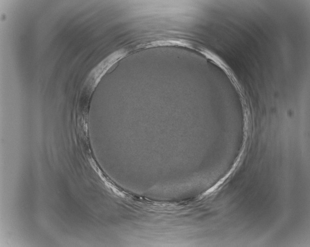 X0000054370809200508011219