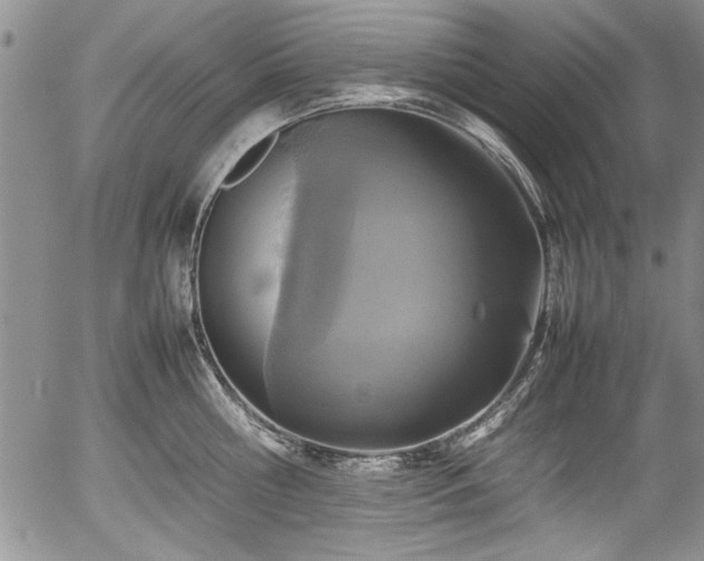 X0000054370810200508011219