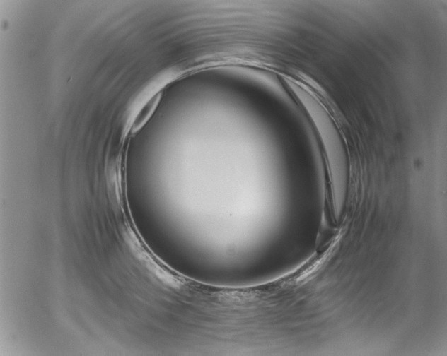 X0000054370812200508011219