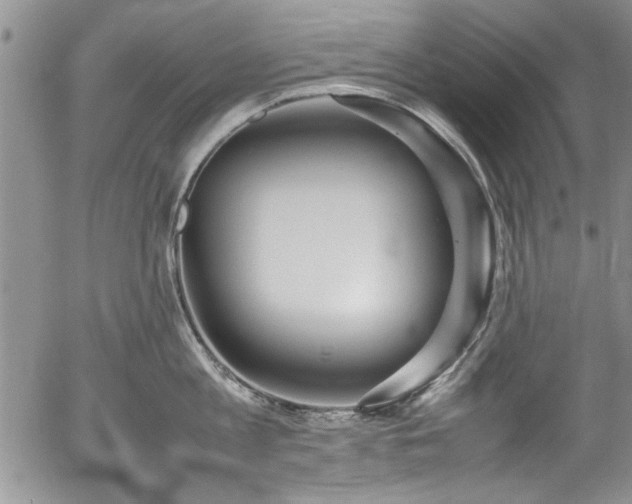 X0000054370813200508011219