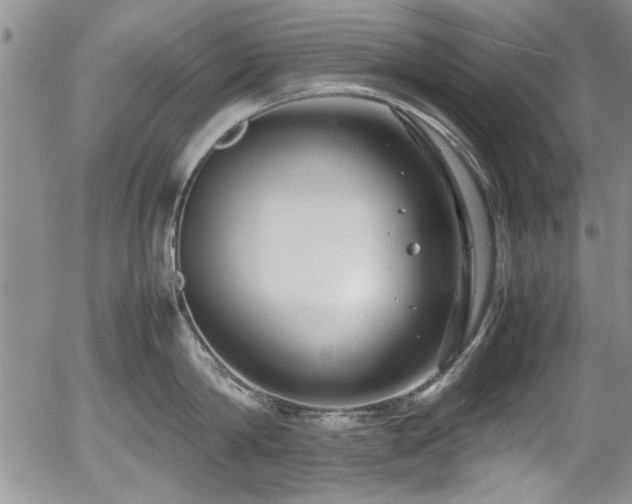 X0000054370814200508011219