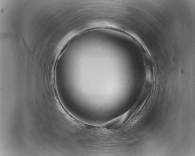 X0000054370815200508011219