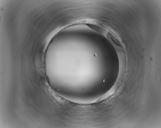 X0000054370816200508011219