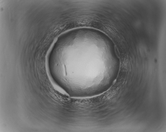 X0000054370817200508011218