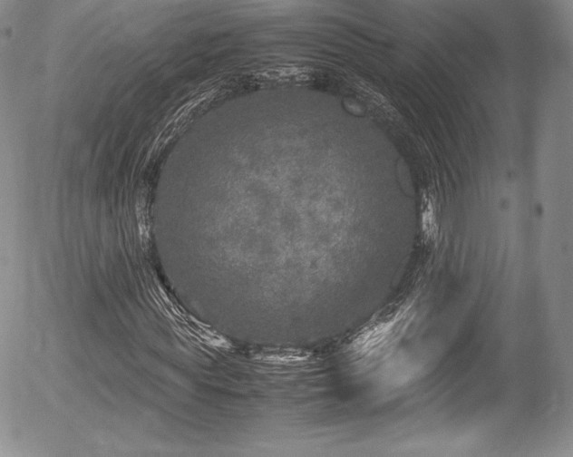 X0000054370819200508011218