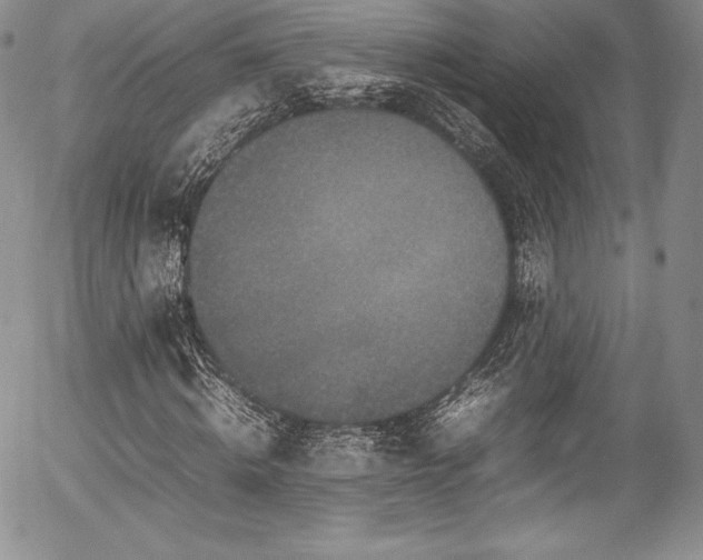 X0000054370820200508011218