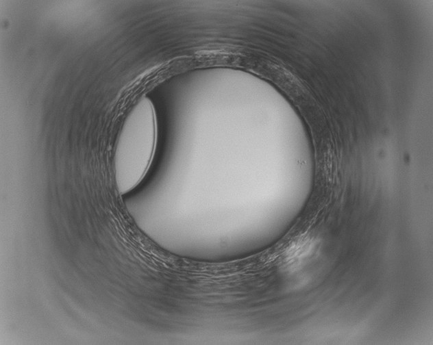 X0000054370821200508011218