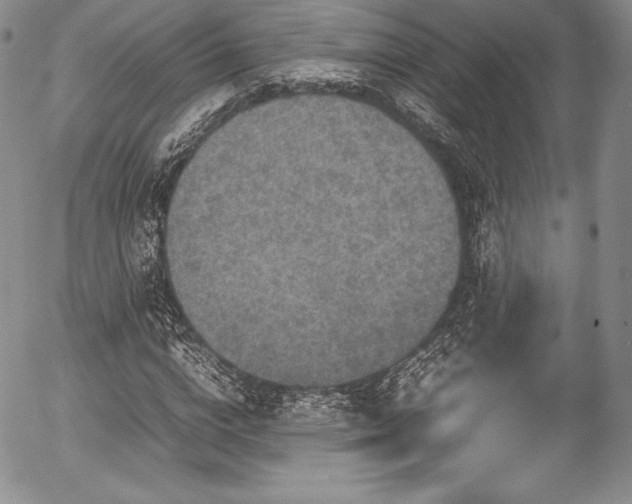 X0000054370824200508011218